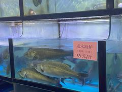 水产区-联邦酒楼