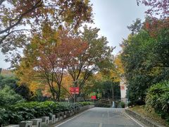 -上海市保健医疗中心