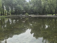 -玲珑塔公园