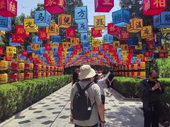 -大槐树寻根祭祖园