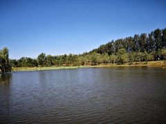 -东郊湿地公园