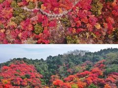 -九如山休闲旅游度假区