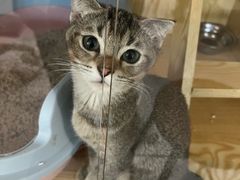 -平行世界·猫咖(首经贸店)