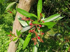 -贵阳市花溪国家城市湿地公园