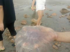 -嵊泗基湖沙滩