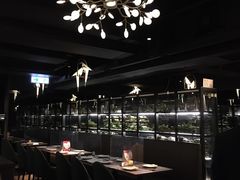 -Oasis Bar & Grill