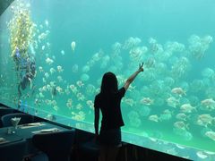 -瑞德姆美人鱼海底演艺主题餐厅(亚龙湾店)