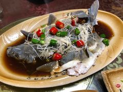 清蒸雪鱼-青城甲(青城山店)