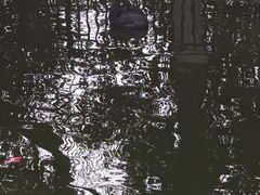 -合肥野生动物园