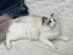 -猫遇摄影工作室