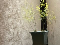 -31号公馆(黄兴广场白果园店)