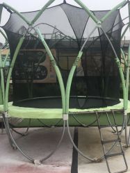 -小蜜蜂农场(凯德七宝购物广场店)