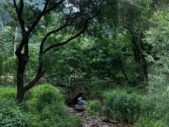 -秦岭终南山世界地质公园翠华山景区