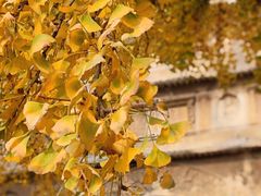 -北京石刻艺术博物馆(五塔寺)