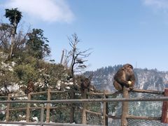 -峨眉山风景名胜区