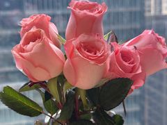 -安蒂娅·海鲜自助餐厅(安蒂娅美兰酒店)