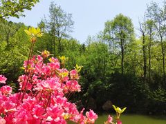 -西泰山风景区