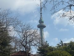 -青岛海滨风景区