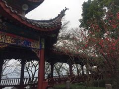 -丰都鬼城名山景区
