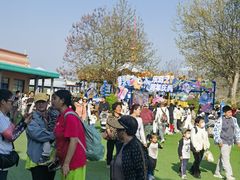 -秦皇岛乐岛海洋王国