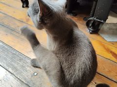 -IN COFFEE LAB 隐咖啡