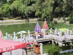 -黑龙江省森林植物园