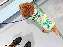 -梦幻奥陶纪景区