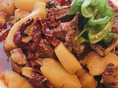 -巴依老爷新疆美食(常营店)