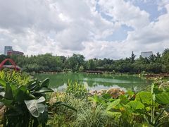 -雲记卢妈冷锅串串(中道街总店)