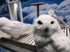 -成都浩海立方海洋公园