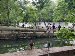 -西园戒幢律寺