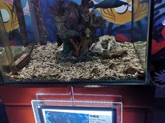 -太平洋海底世界