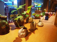 -一叶一世界•素食餐厅(新光天地店)