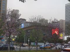 -鱼豆吉·豆浆鱼火锅(宜昌万达店)