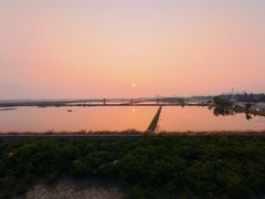 -北海金海湾红树林生态旅游区