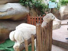 -杭州开元森泊度假乐园