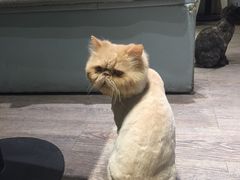 -小时光咖啡馆(开森度假森林店)