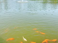 -春晖园度假酒店温泉