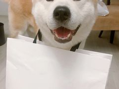 -三宅一生 ISSEY MIYAKE(北京SKP店)