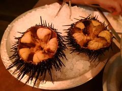 韩国海胆-斯普汇生蚝牛排馆(中骏世界城店)