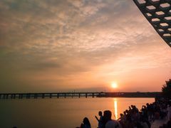 -宝安西湾红树林湿地公园