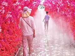 -山叶口景区