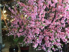 -加菲咖啡西餐厅garfield coffee(蓝宝石大厦店)