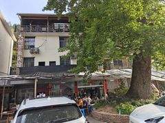 -焦滩大树下鱼头馆(焦滩店)