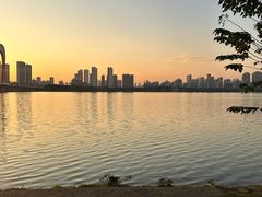-艾溪湖湿地公园