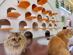 -天河领展广场