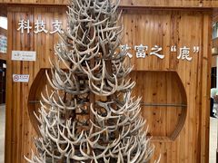 -北京鹿世界主题园