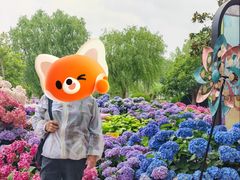 -上海鲜花港