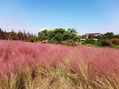 -下渚湖国家湿地公园科普馆