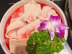 -俏媳妇火锅(宽窄巷子店)